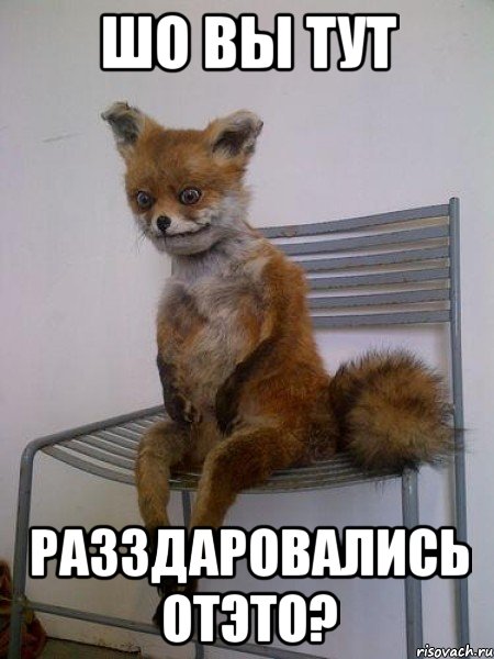 шо вы тут разздаровались отэто?, Мем Упоротая лиса