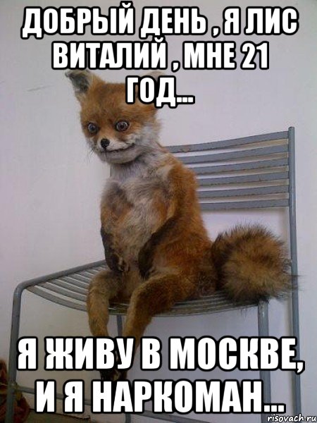 добрый день , я лис виталий , мне 21 год... я живу в москве, и я наркоман..., Мем Упоротая лиса