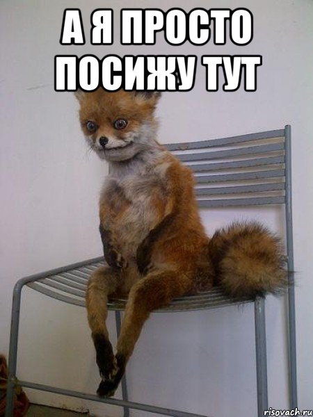 а я просто посижу тут , Мем Упоротая лиса