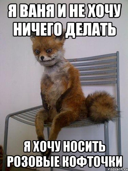 я ваня и не хочу ничего делать я хочу носить розовые кофточки, Мем Упоротая лиса