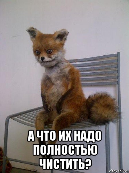  а что их надо полностью чистить?, Мем Упоротая лиса