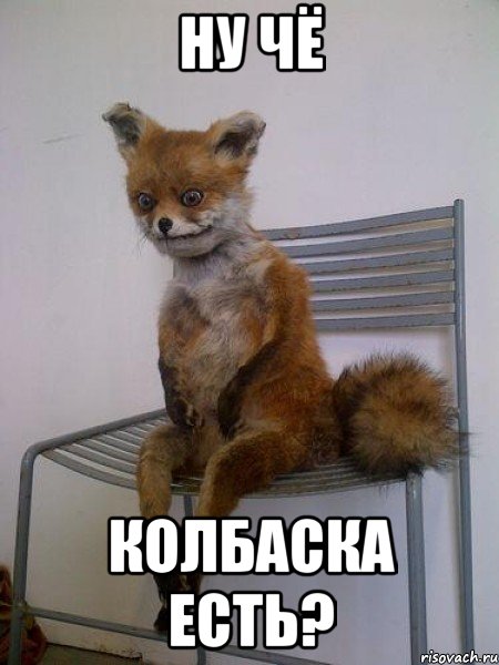 ну чё колбаска есть?, Мем Упоротая лиса