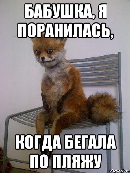 бабушка, я поранилась, когда бегала по пляжу, Мем Упоротая лиса