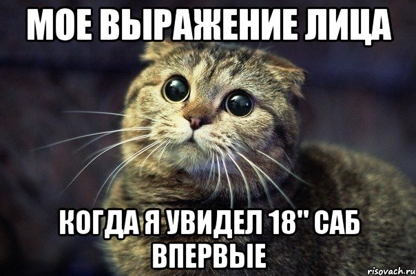 мое выражение лица когда я увидел 18" саб впервые, Мем вамва