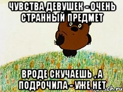 чувства девушек - очень странный предмет вроде скучаешь , а подрочила - уже нет, Мем ВИННИ ПУХ