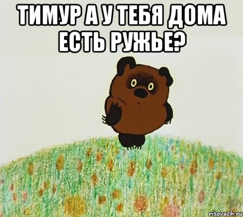 тимур а у тебя дома есть ружье? 