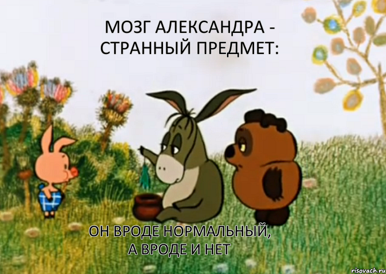 Мозг александра - странный предмет: он вроде нормальный, а вроде и нет