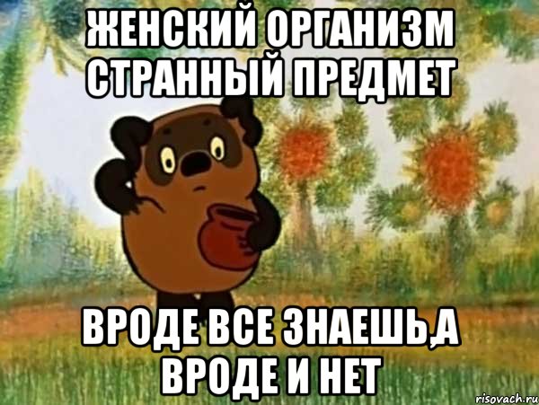 женский организм странный предмет вроде все знаешь,а вроде и нет, Мем Винни пух чешет затылок