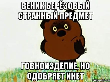 веник берёзовый странный предмет говноизделие, но одобряет инет