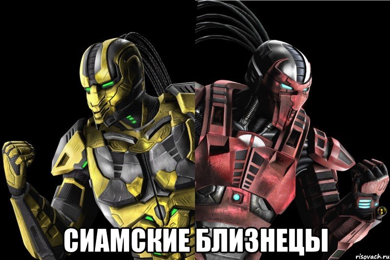  сиамские близнецы, Мем vkcomsnegiryata