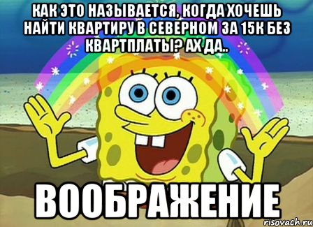 как это называется, когда хочешь найти квартиру в северном за 15к без квартплаты? ах да.. воображение, Мем Воображение (Спанч Боб)