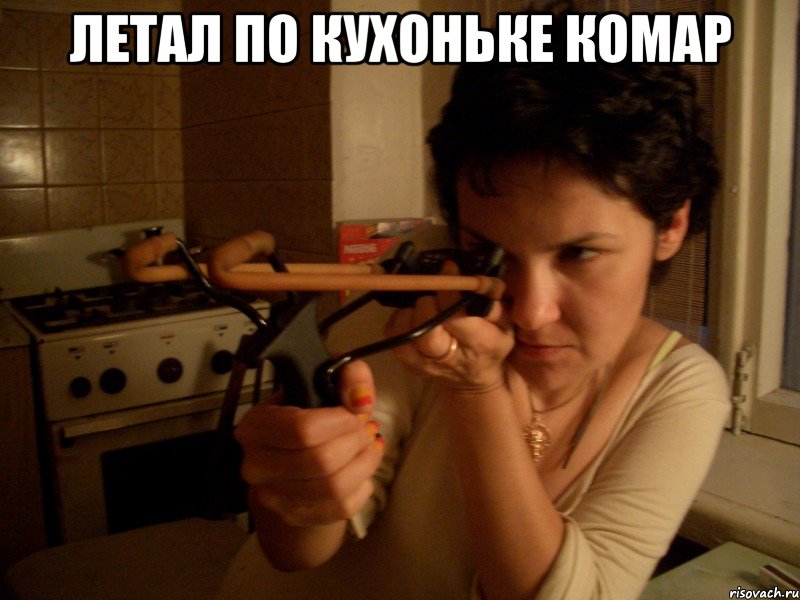 летал по кухоньке комар , Мем вороны-москвички