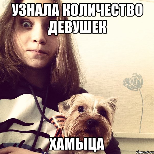 узнала количество девушек хамыца, Мем Вот это