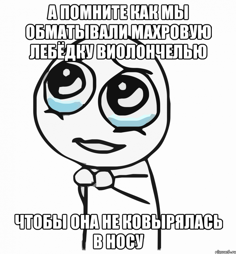 а помните как мы обматывали махровую лебёдку виолончелью чтобы она не ковырялась в носу, Мем  ну пожалуйста (please)