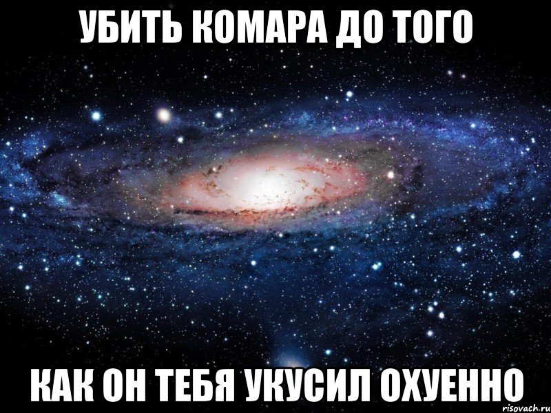убить комара до того как он тебя укусил охуенно, Мем Вселенная