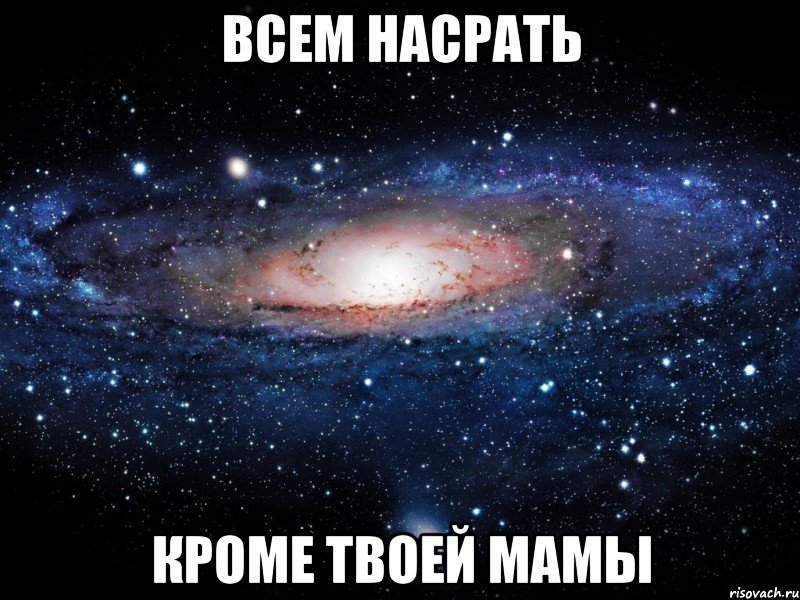 всем насрать кроме твоей мамы, Мем Вселенная