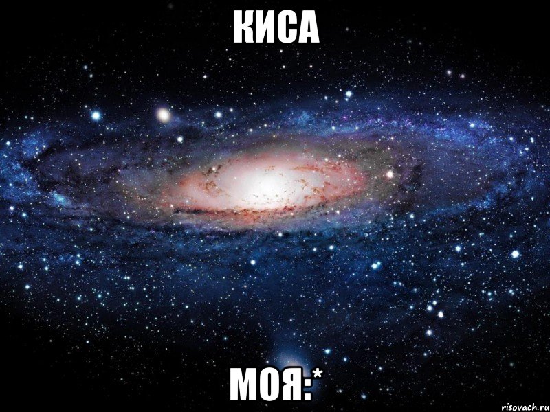 киса моя:*, Мем Вселенная