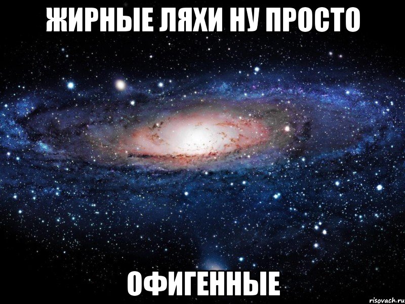 жирные ляхи ну просто офигенные, Мем Вселенная