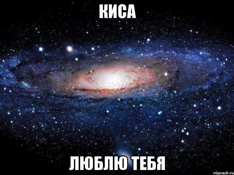 киса люблю тебя, Мем Вселенная