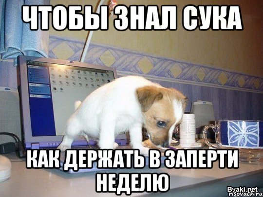 чтобы знал сука как держать в заперти неделю, Мем ы