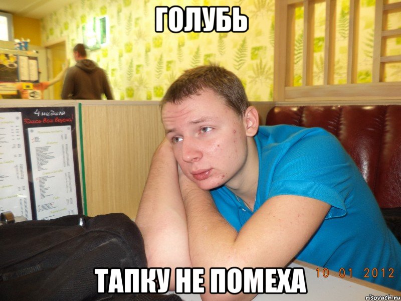 голубь тапку не помеха, Мем ячс