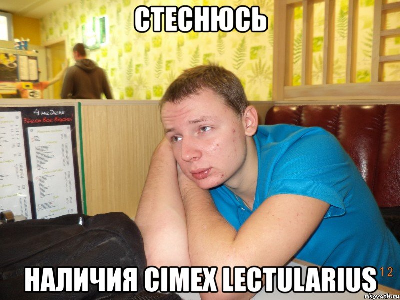 стеснюсь наличия cimex lectularius, Мем ячс