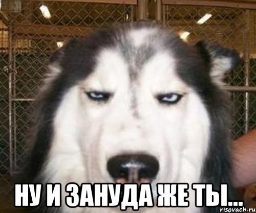  ну и зануда же ты..., Мем задолбал