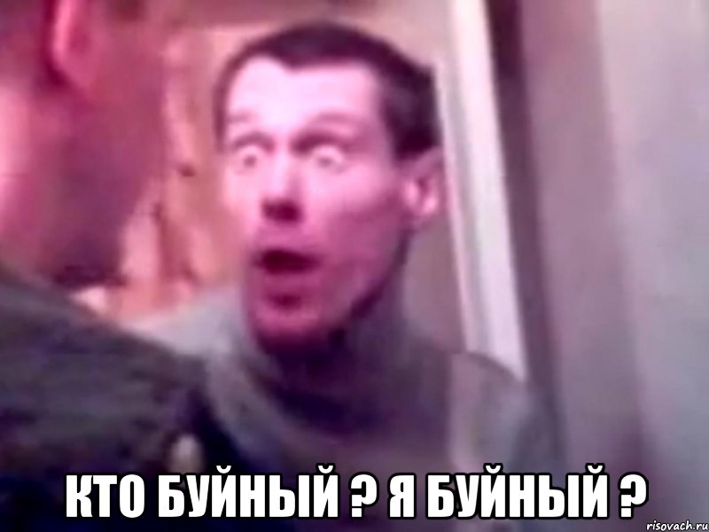  кто буйный ? я буйный ?, Мем Запили