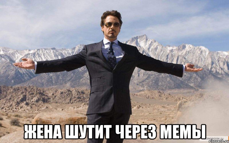  жена шутит через мемы, Мем железный человек