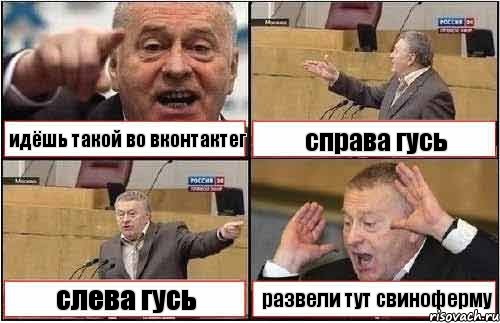 идёшь такой во вконтактег справа гусь слева гусь развели тут свиноферму, Комикс жиреновский