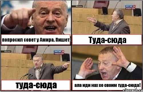 попросил совет у Амира. Пишет: Туда-сюда туда-сюда ала иди нах со своим туда-сюда!, Комикс жиреновский