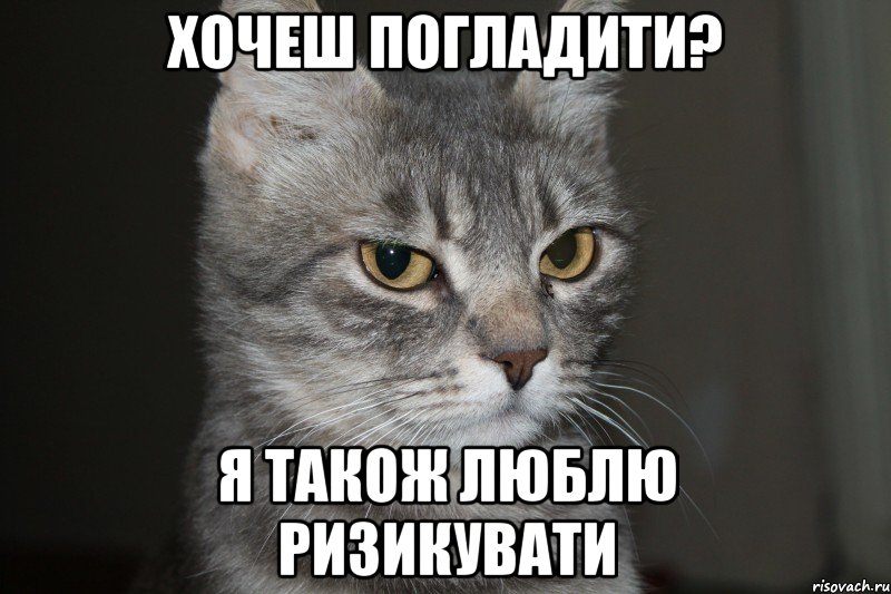 хочеш погладити? я також люблю ризикувати, Мем Зла Кузя 2