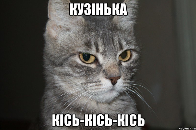 кузінька кісь-кісь-кісь, Мем Зла Кузя 2