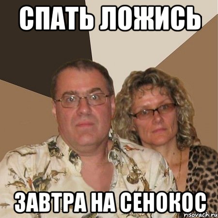 спать ложись завтра на сенокос