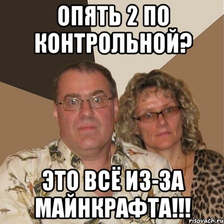 опять 2 по контрольной? это всё из-за майнкрафта!!!