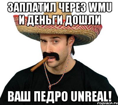заплатил через wmu и деньги дошли ваш педро unreal!