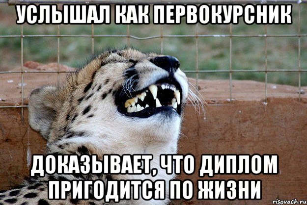 услышал как первокурсник доказывает, что диплом пригодится по жизни, Мем -