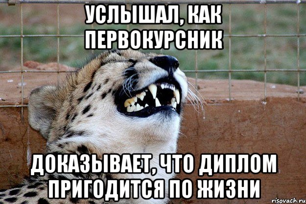 услышал, как первокурсник доказывает, что диплом пригодится по жизни, Мем -