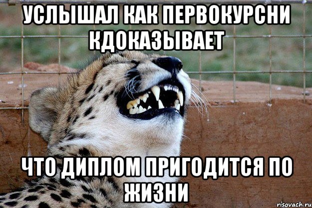 услышал как первокурсни кдоказывает что диплом пригодится по жизни, Мем -