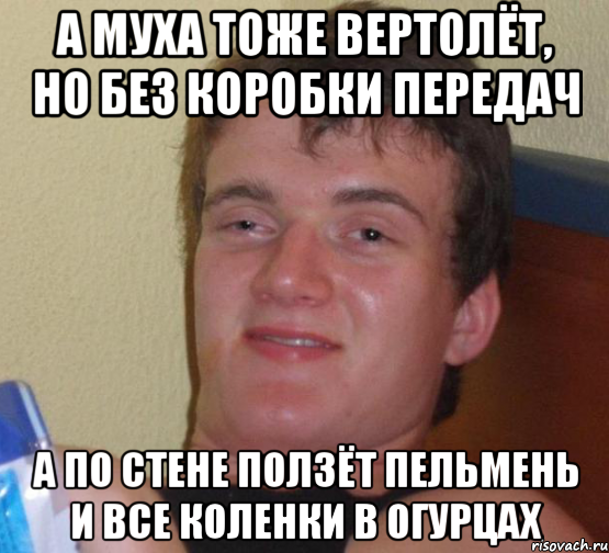 а муха тоже вертолёт, но без коробки передач а по стене ползёт пельмень и все коленки в огурцах, Мем 10 guy (Stoner Stanley really high guy укуренный парень)