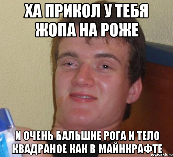 ха прикол у тебя жопа на роже и очень бальшие рога и тело квадраное как в майнкрафте, Мем 10 guy (Stoner Stanley really high guy укуренный парень)