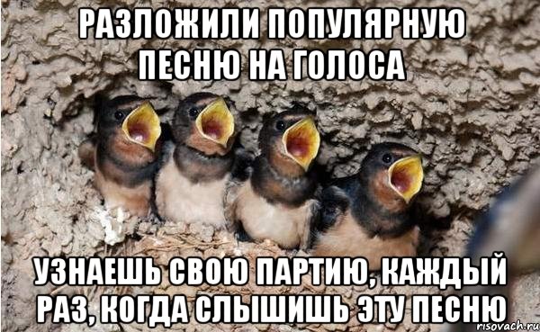 разложили популярную песню на голоса узнаешь свою партию, каждый раз, когда слышишь эту песню, Мем 111