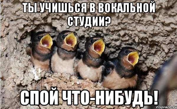 ты учишься в вокальной студии? спой что-нибудь!, Мем 111