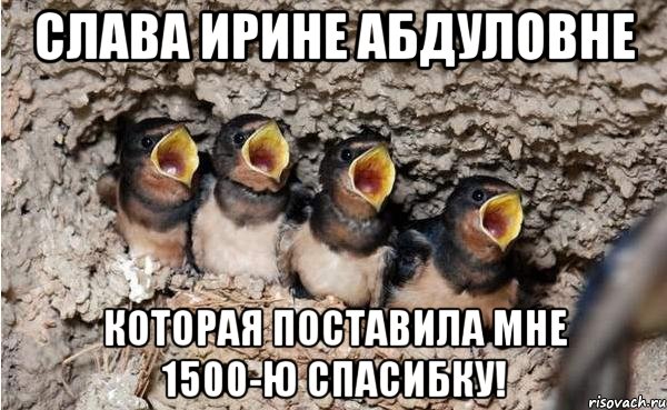 слава ирине абдуловне которая поставила мне 1500-ю спасибку!, Мем 111