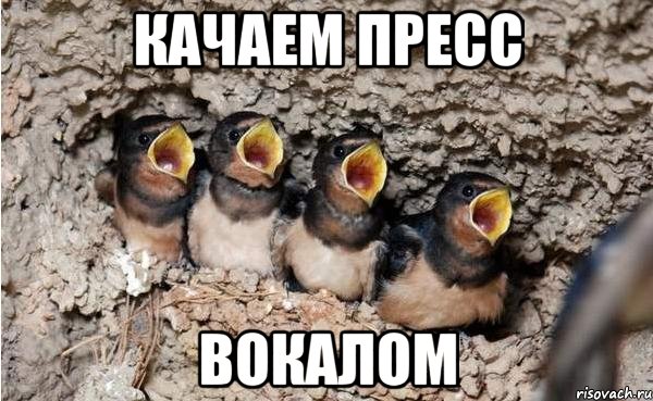 качаем пресс вокалом, Мем 111
