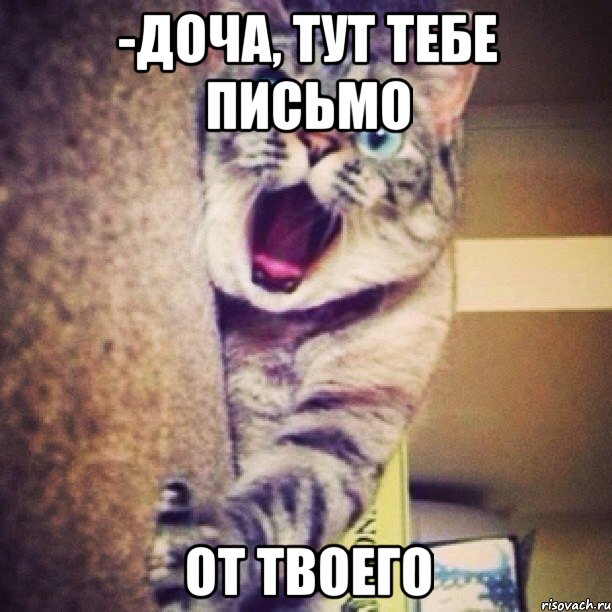 -доча, тут тебе письмо от твоего, Мем 1337