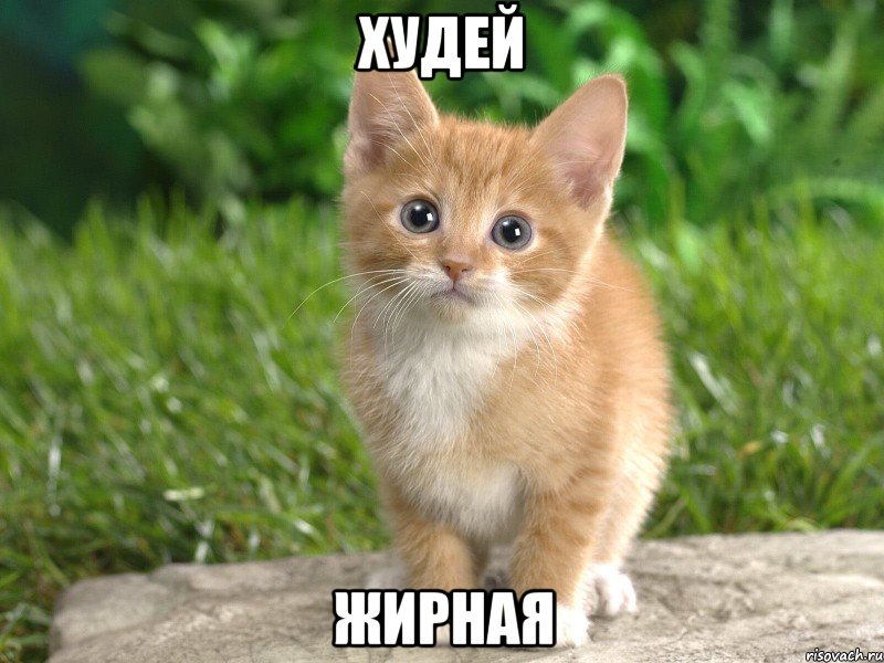 худей жирная, Мем 1