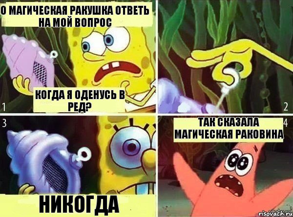 О магическая ракушка ответь на мой вопрос когда я оденусь в ред? Никогда так сказала магическая раковина