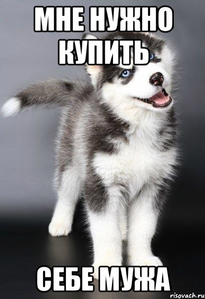 мне нужно купить себе мужа, Мем 3
