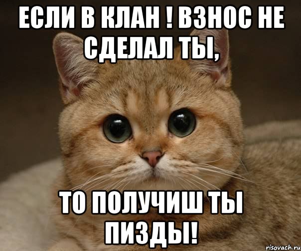 если в клан ! взнос не сделал ты, то получиш ты пизды!, Мем 54645